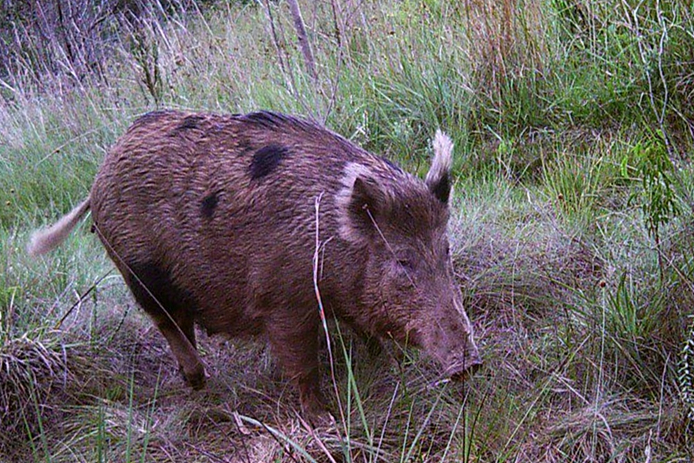 CapaNoticia